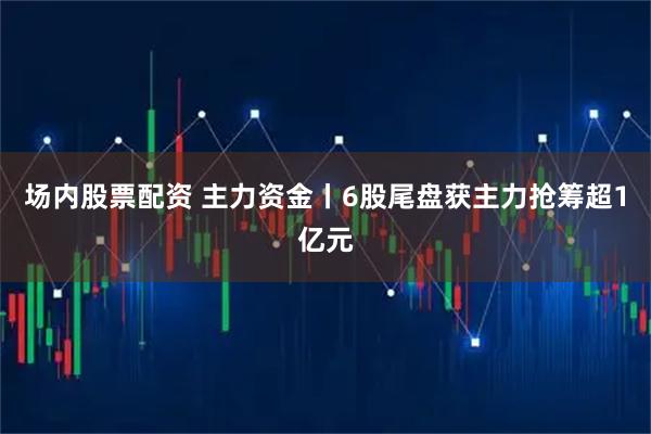 场内股票配资 主力资金丨6股尾盘获主力抢筹超1亿元