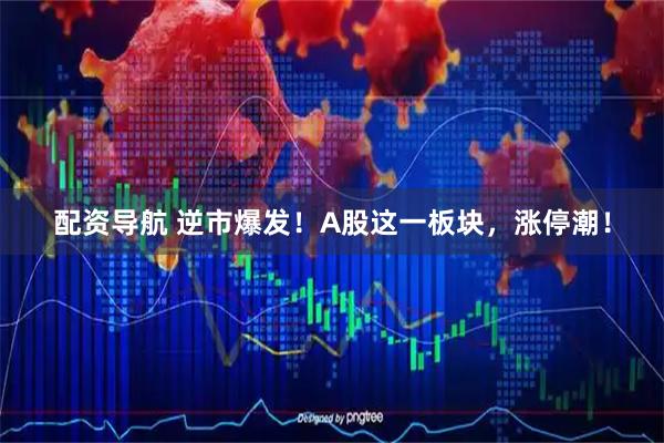 配资导航 逆市爆发！A股这一板块，涨停潮！